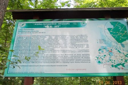 link to slide image